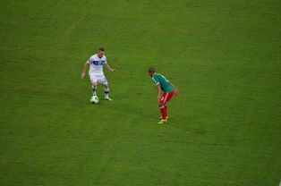 乐鱼体育在线-哈兰德绝杀背后的训练与VAR争议，哈兰德生涯